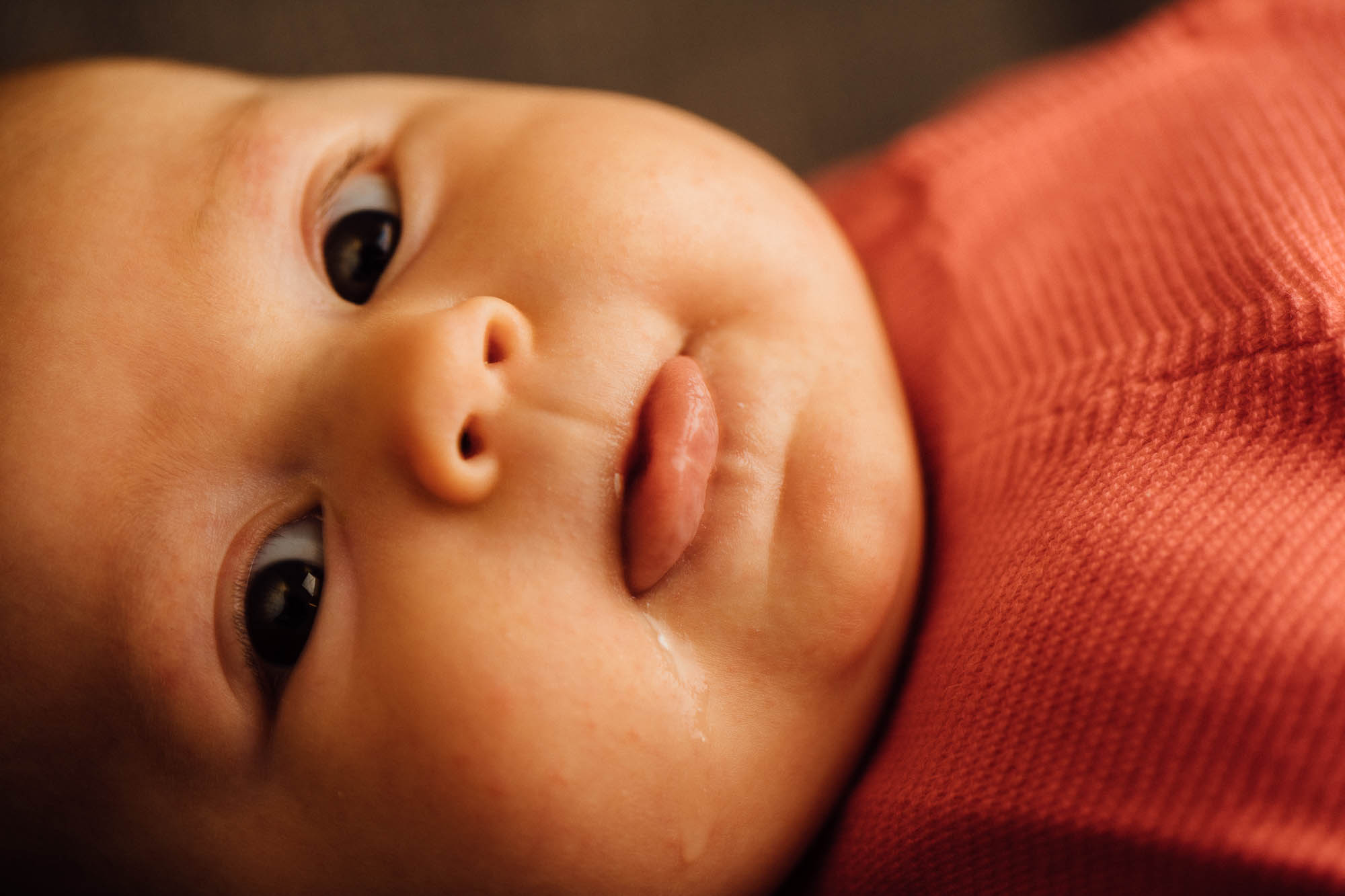 Export x3 5D4 0480 Familyfotoshooting 2020 Rossbach